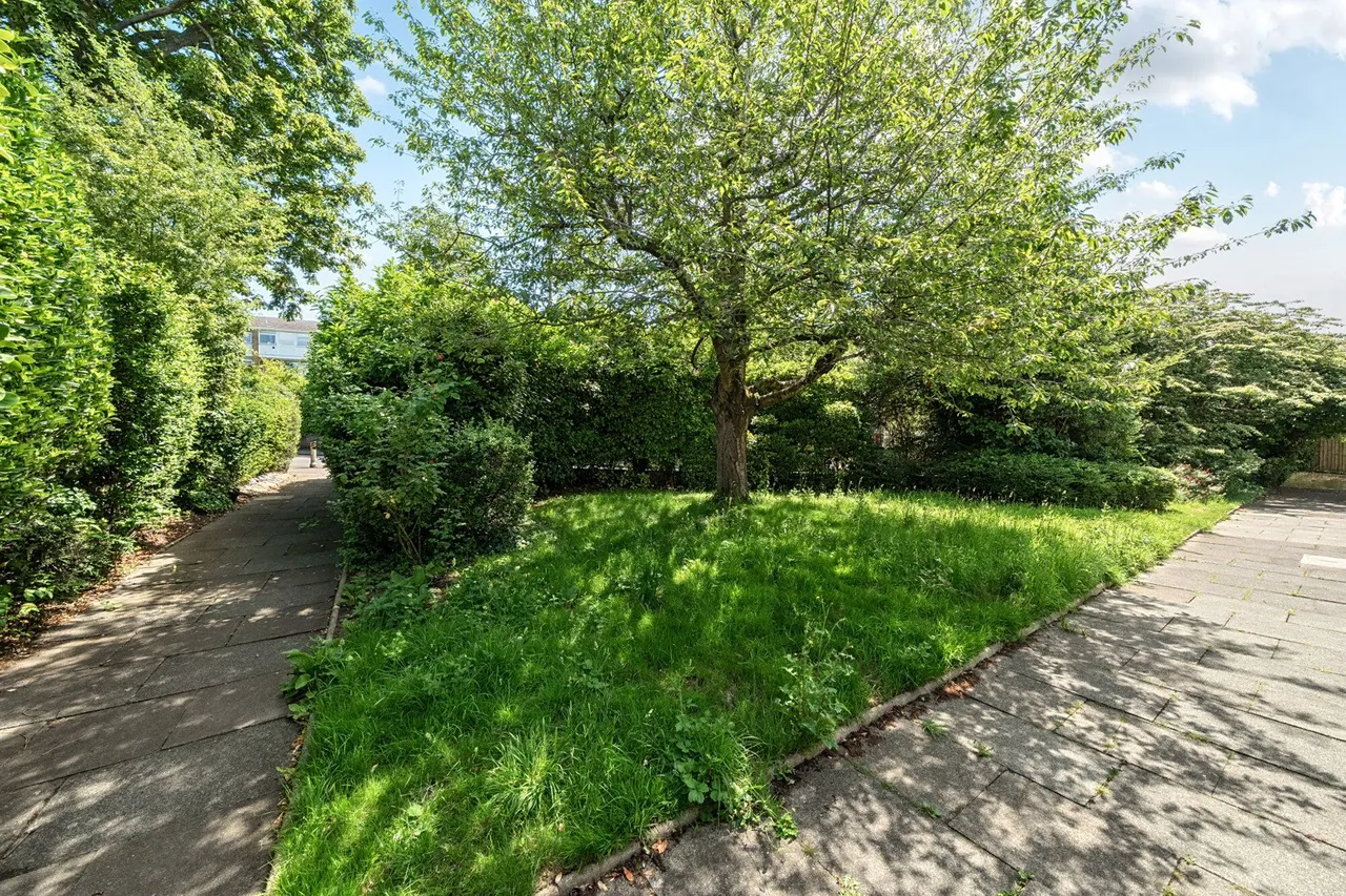 Court Road, SE9, photo 29