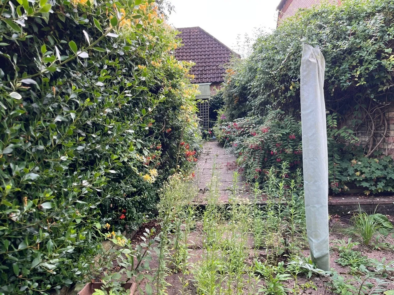 Medieval Grid, Bury St Edmunds, IP33, photo 11