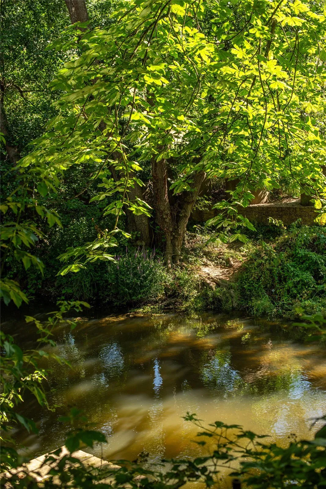 Pixham Lane, Dorking, RH4, photo 12