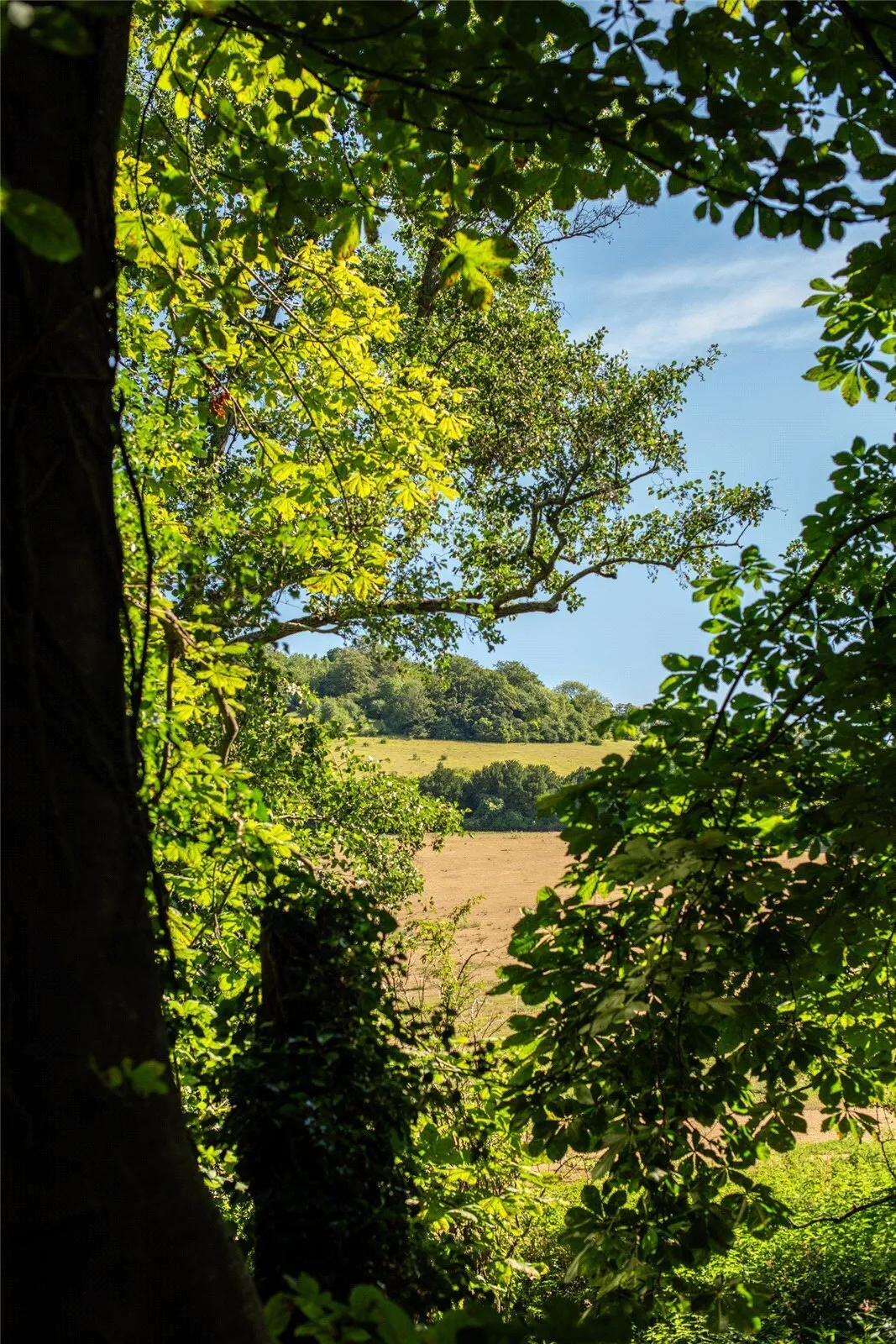 Pixham Lane, Dorking, RH4, photo 11