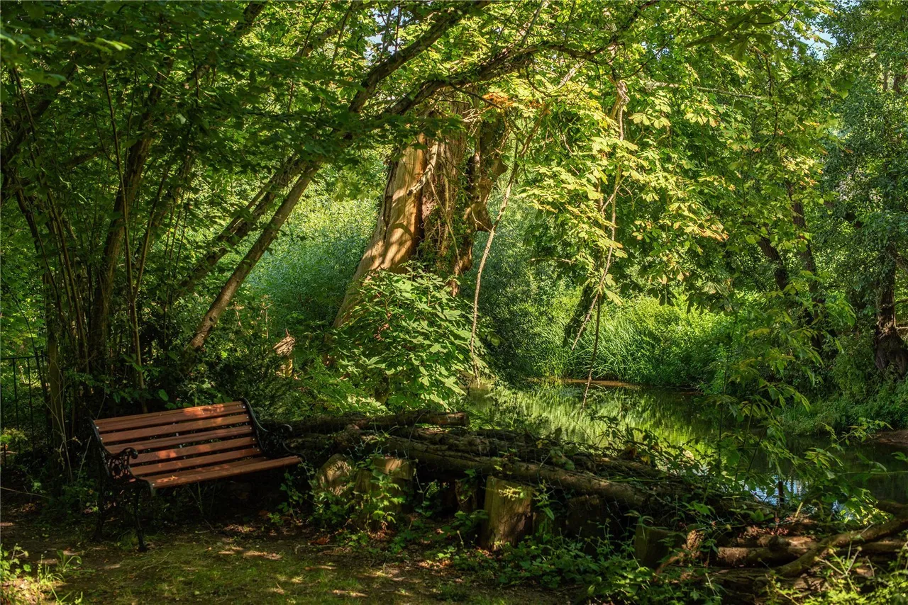 Pixham Lane, Dorking, RH4, photo 9