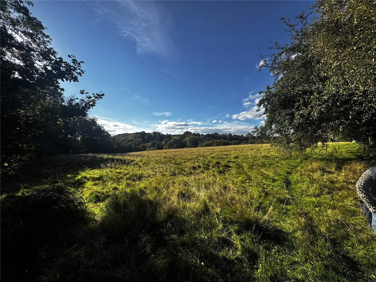 Llanfihangel, Powys, photo 5