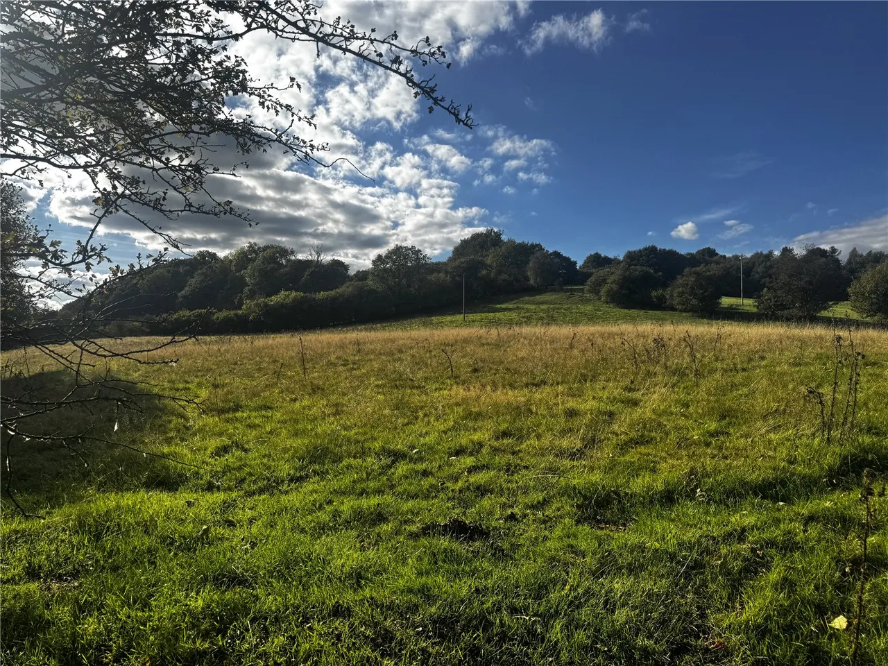 land agricultural for sale, Llanfihangel, Powys