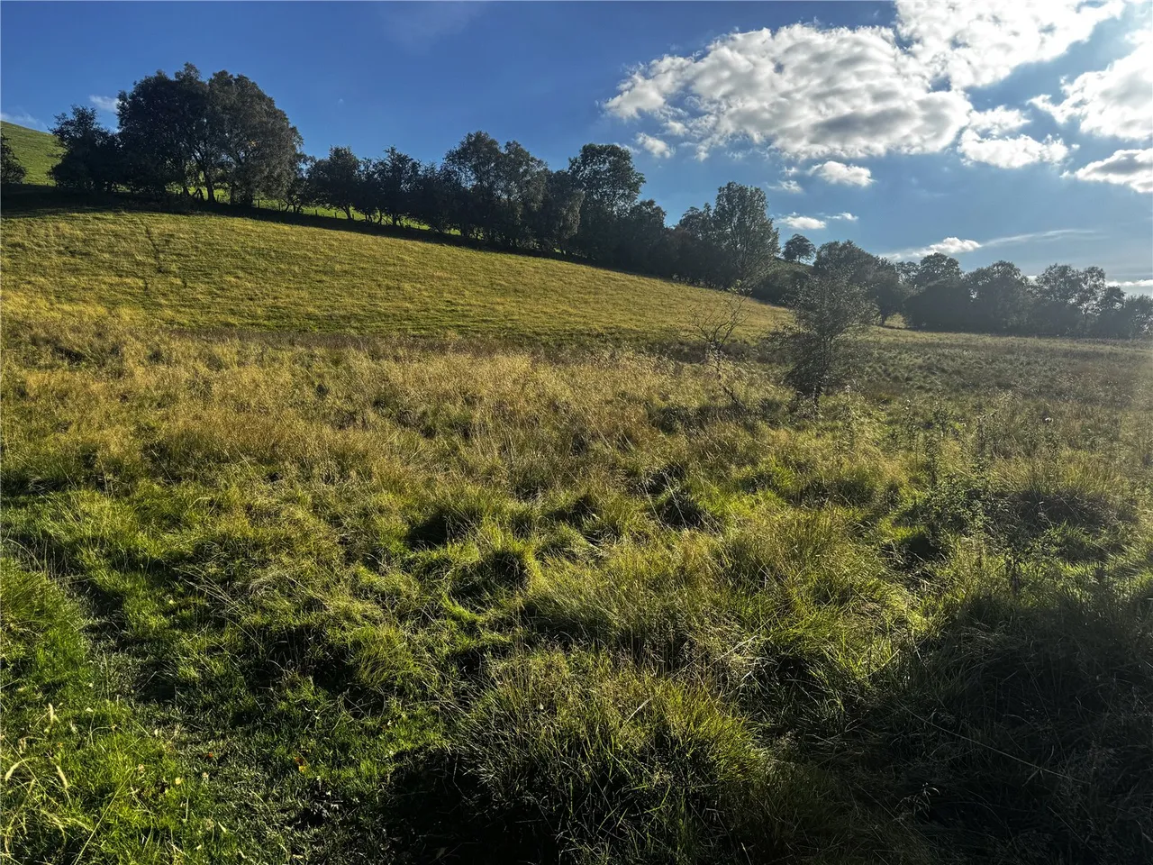 Llanfihangel, Powys, photo 6