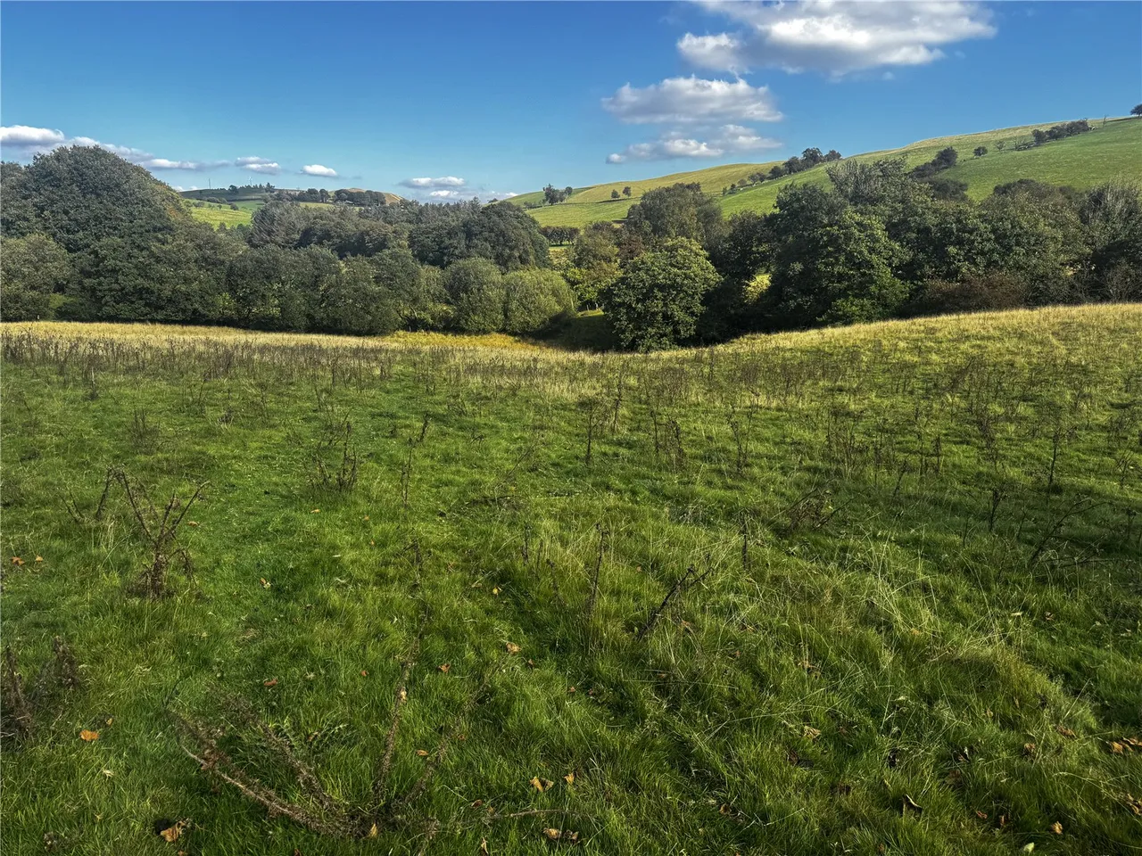 Llanfihangel, Powys, photo 8