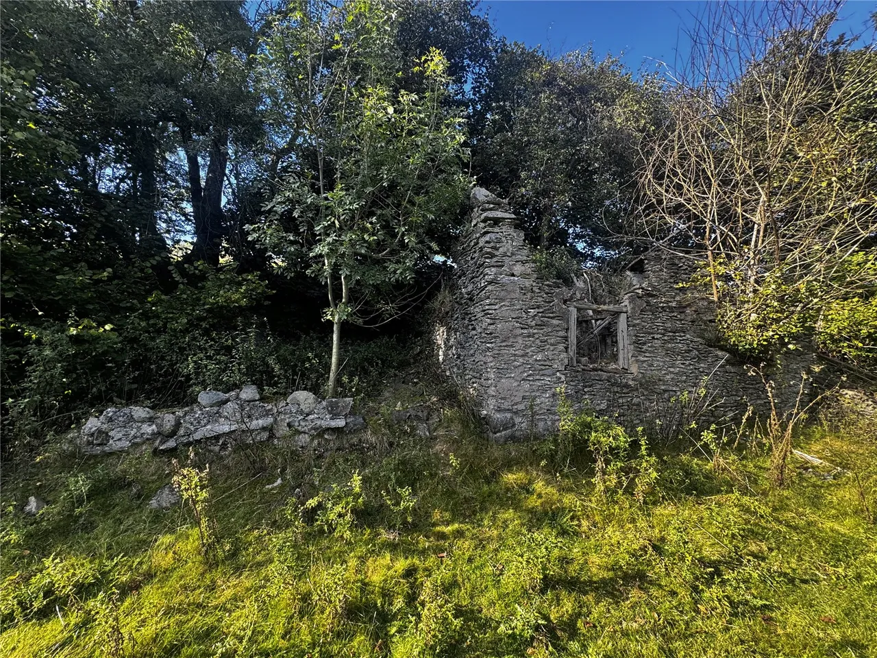 Llanfihangel, Powys, photo 7