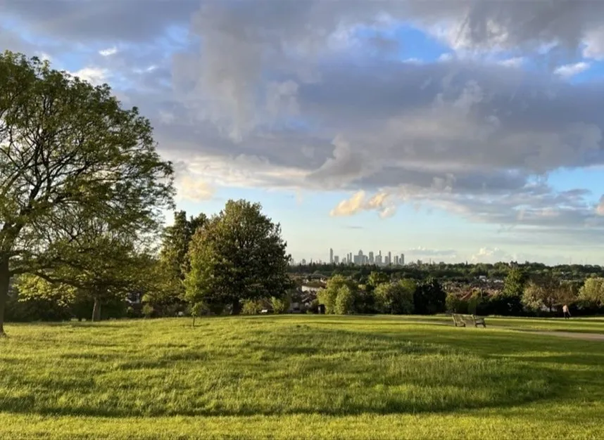 Brockley View, London, SE23, photo 11