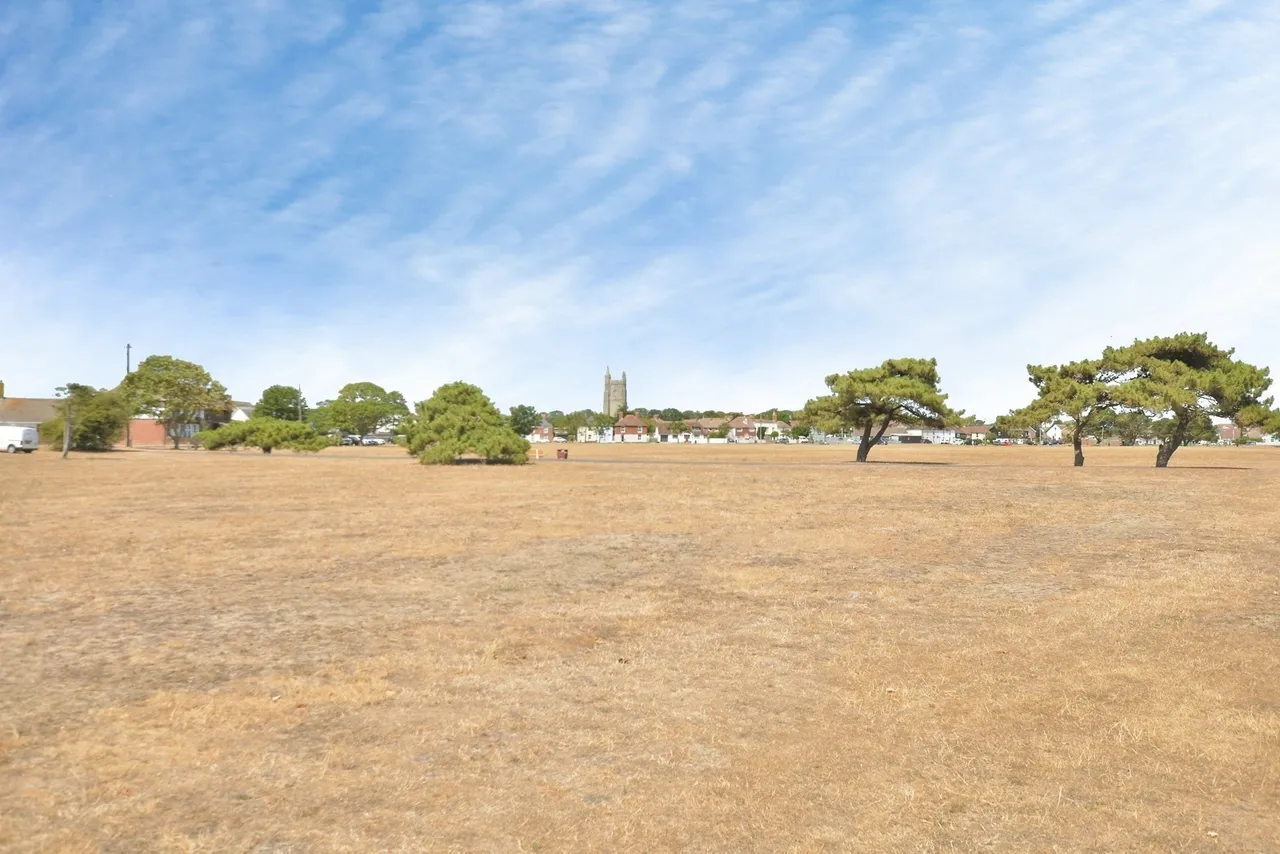 Manor Road, Lydd, Romney Marsh, Kent, TN29, photo 12