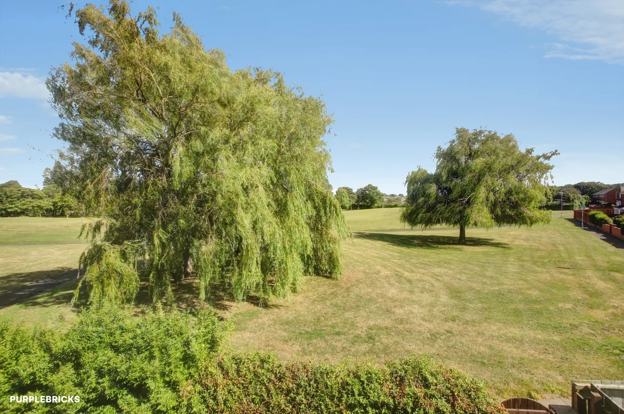 Grassbanks, Gateshead, NE10, photo 15