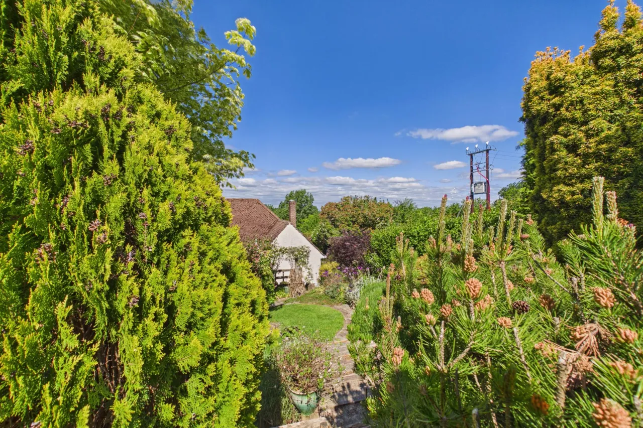 Wellcroft, Ivinghoe, LU7, photo 11