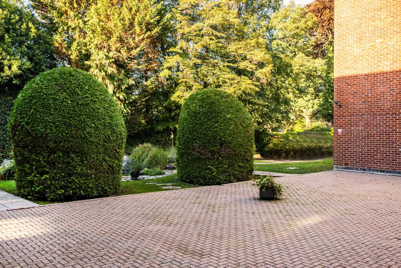 Water Gardens, BH8, photo 14