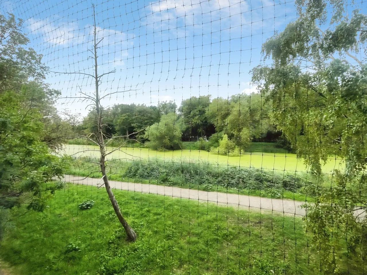 Yeoman Close, Ipswich, IP1, photo 8
