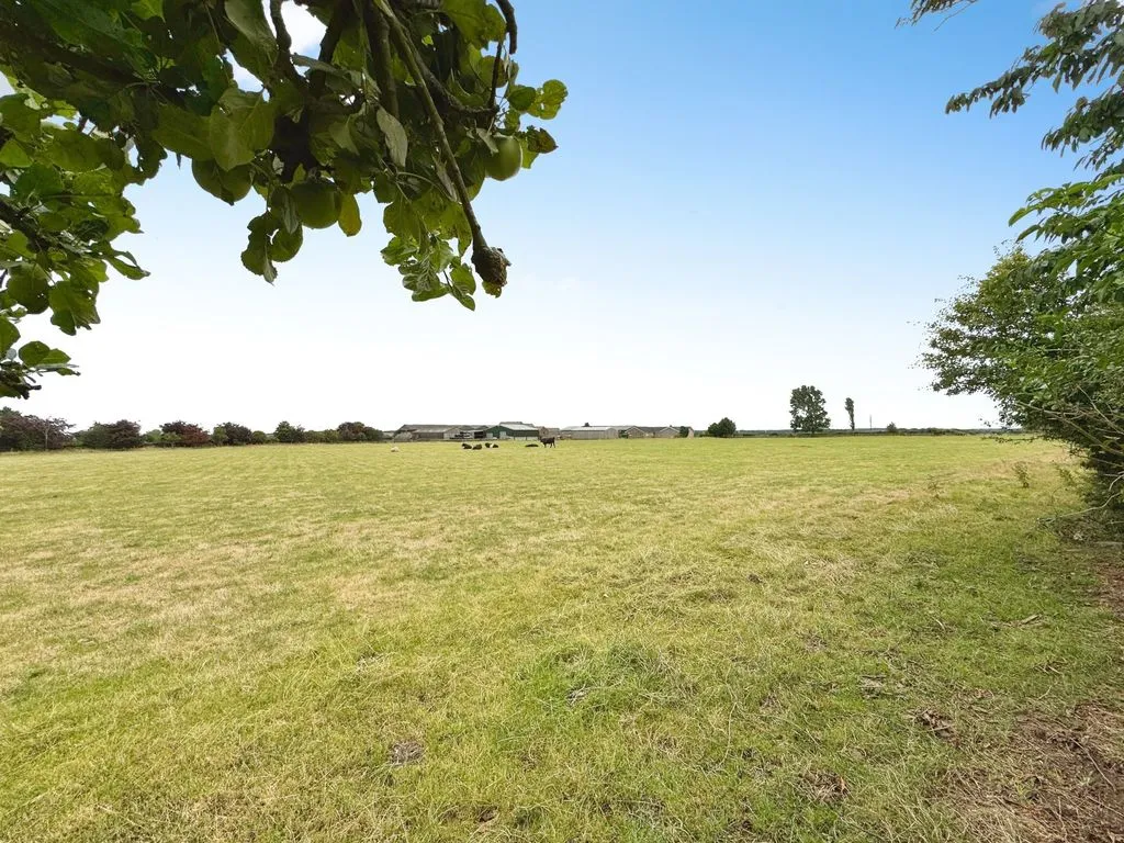 Morpeth NE61 5RB, NE61, photo 13