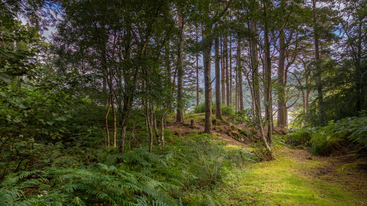 GLENUIG, ROSHVEN, PH38 4NB, photo 44