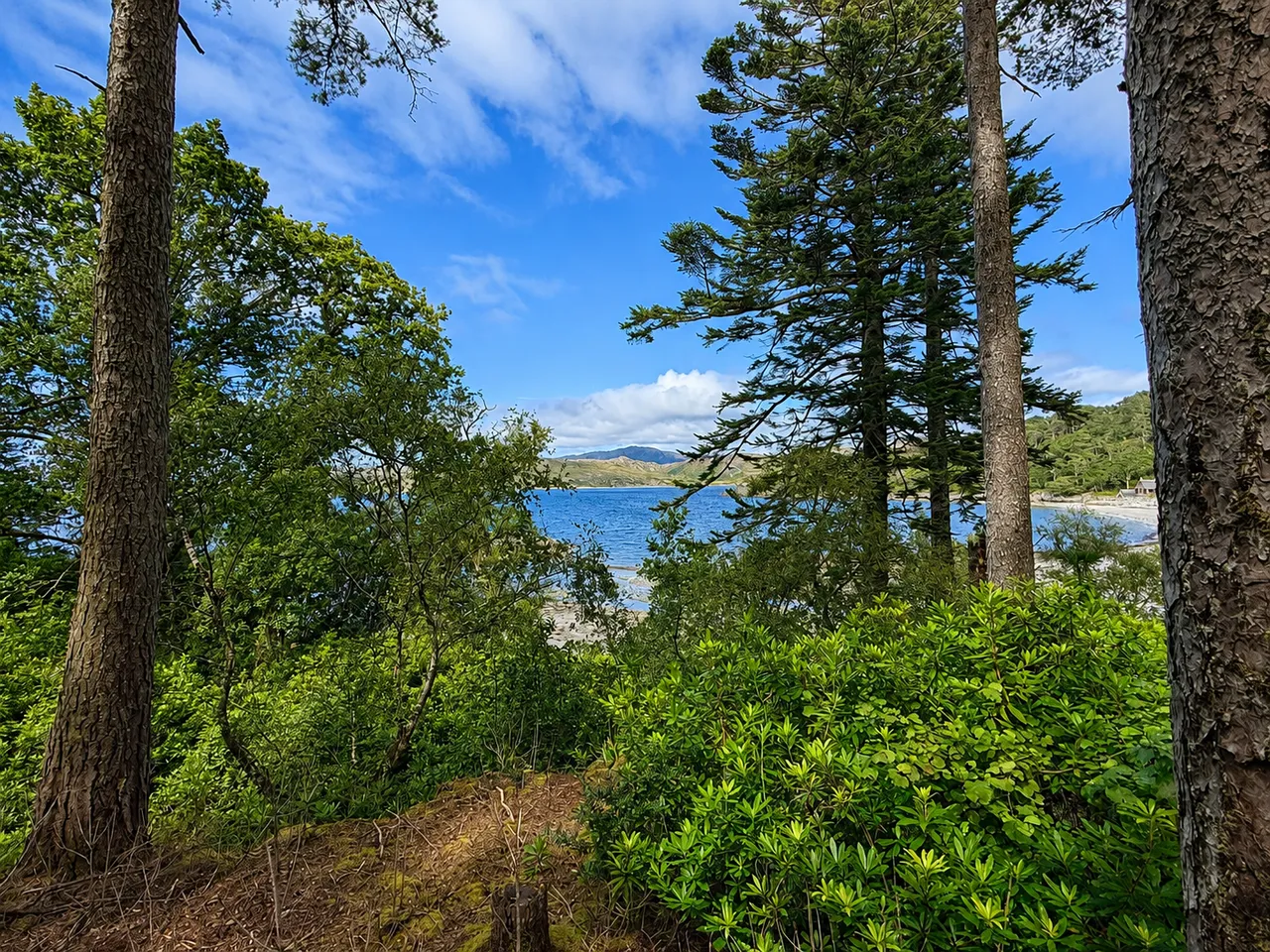 GLENUIG, ROSHVEN, PH38 4NB, photo 45