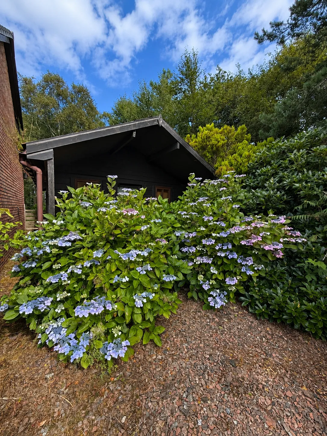 GLENUIG, ROSHVEN, PH38 4NB, photo 36