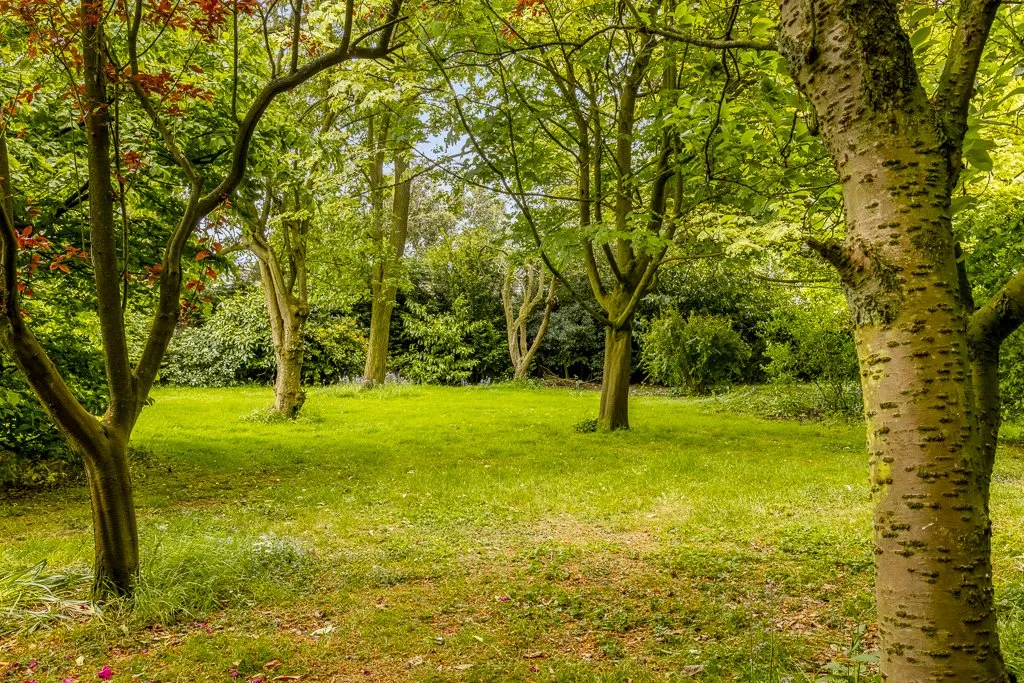Main Road, Hundleby, PE23, photo 43