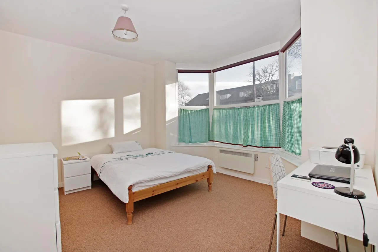 Ecclesall Road, Ecclesall Road, Sheffield, S11, photo 4