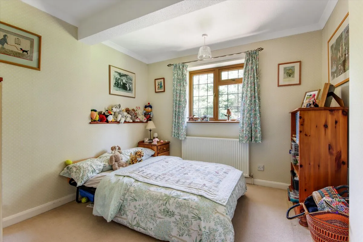 Manor Park, Tunbridge Wells, TN4, photo 17