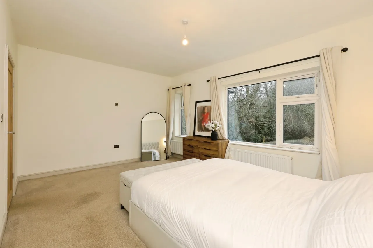 Dovedale Road, Sheffield, S7, photo 15