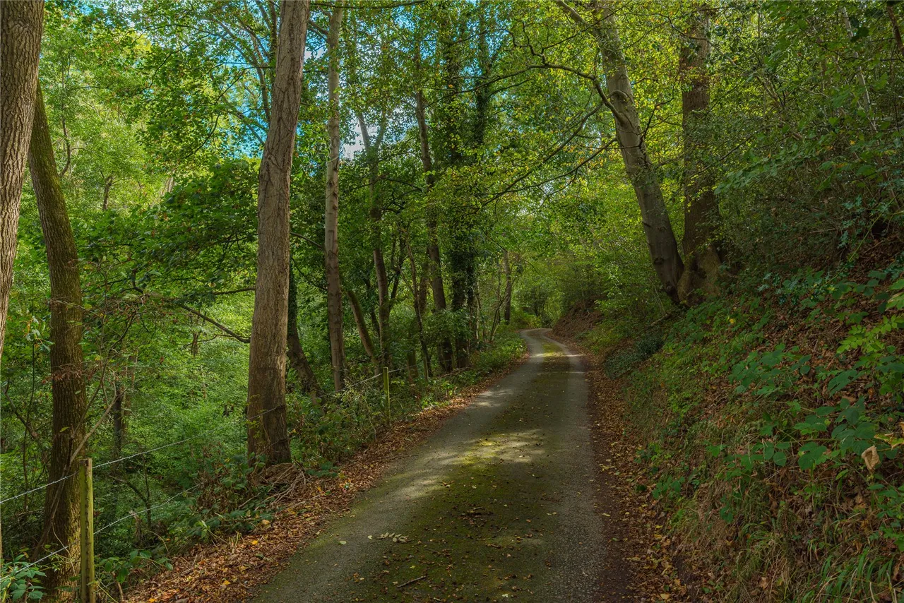 Moelygarth, Welshpool, SY21, photo 64