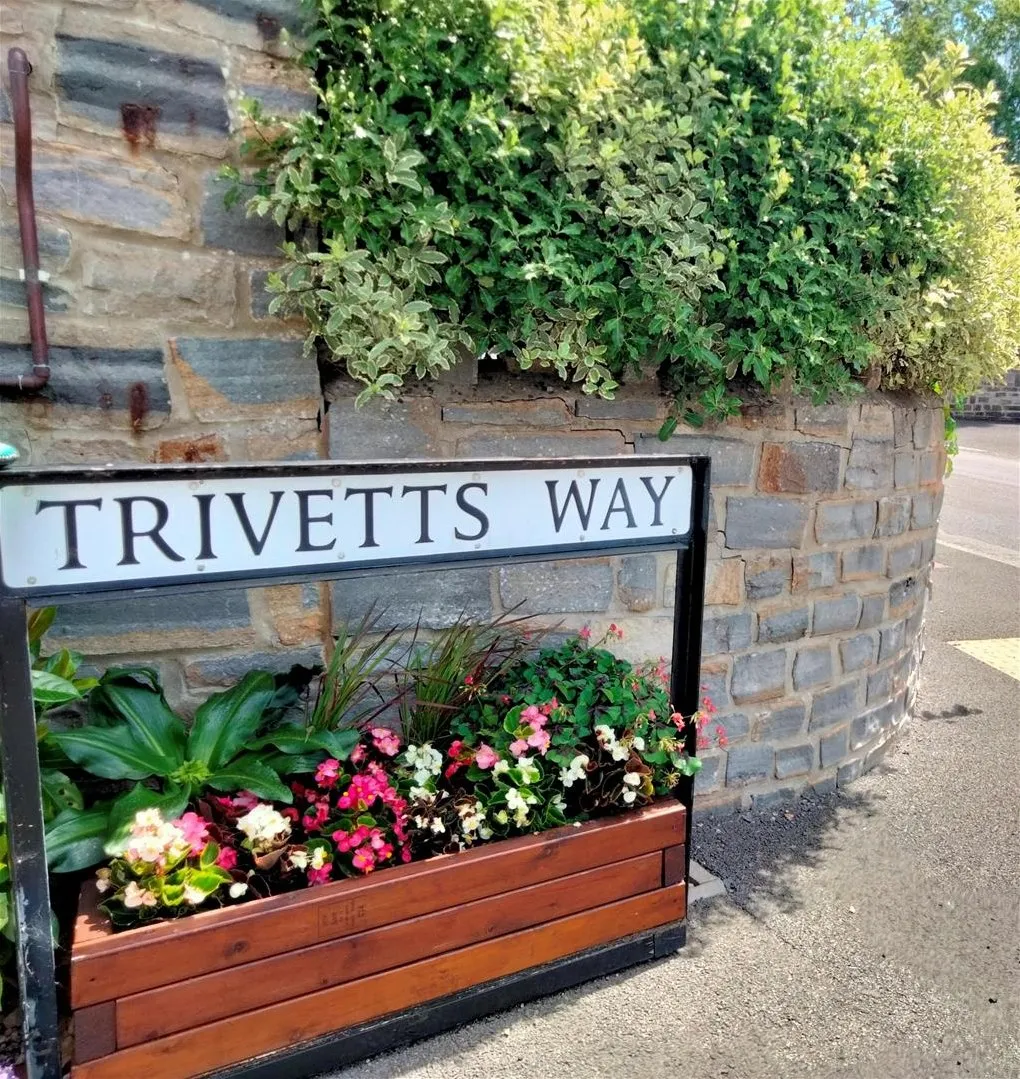 Trivetts Way, Cossington TA7 8JN, photo 3