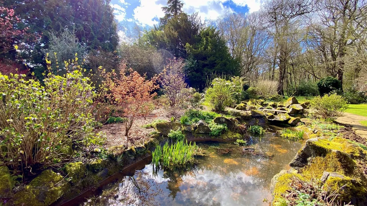 Elizabeth Drive, Banstead, SM7 2FE, photo 9