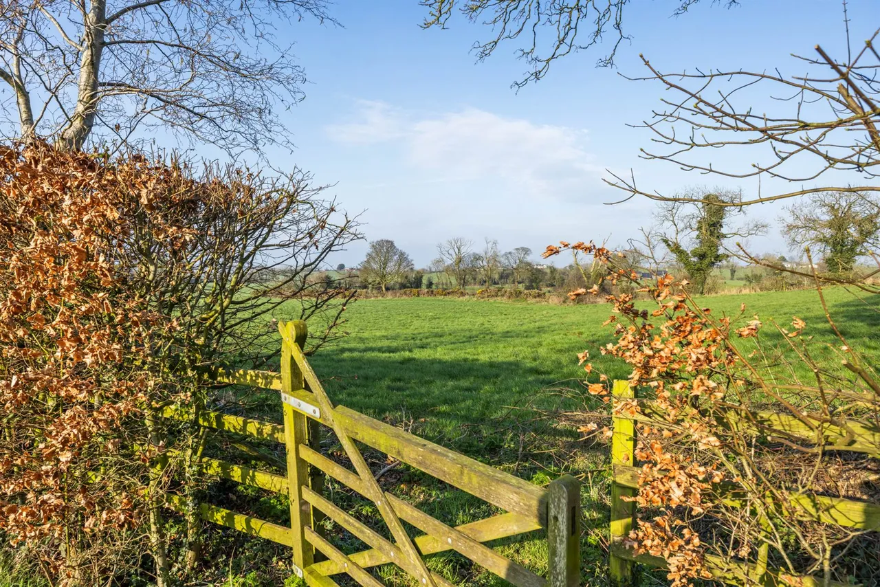Back Road, Drumbo, BT27, photo 32