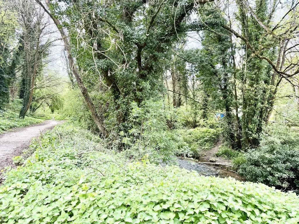The Woodlands, Calne, photo 24