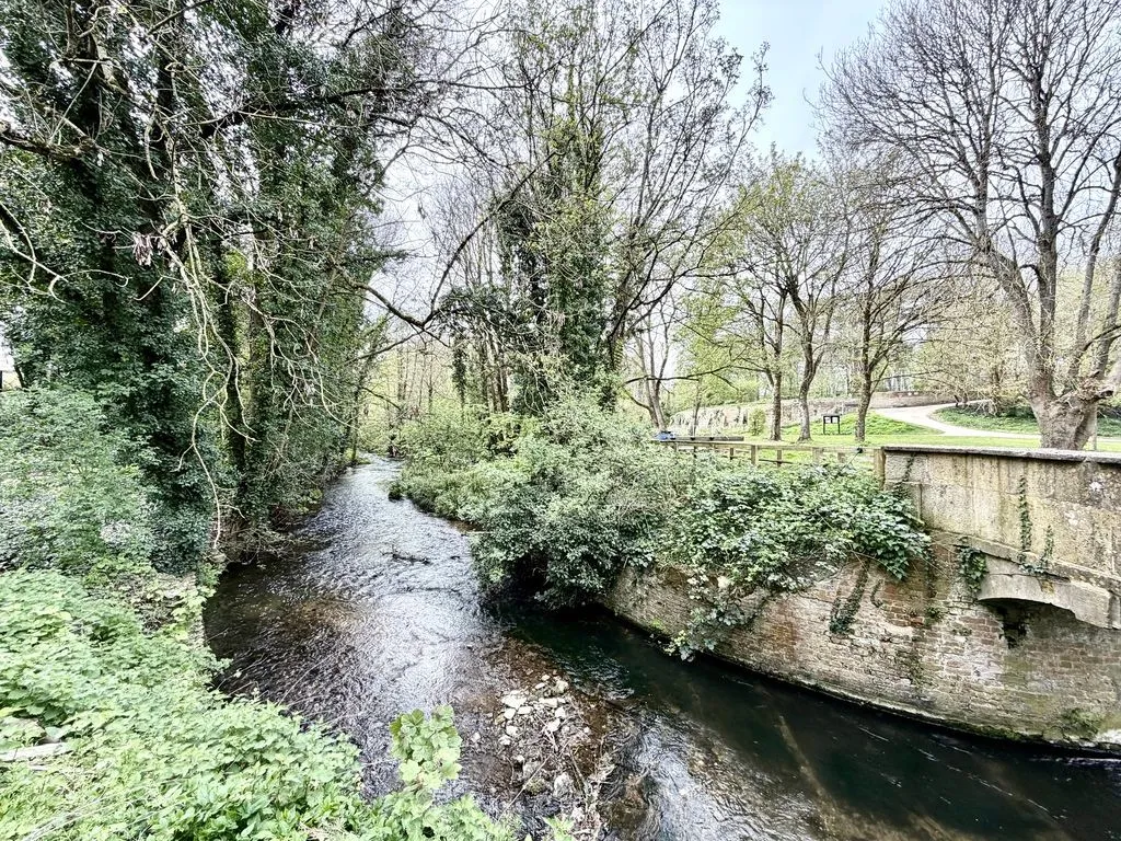 The Woodlands, Calne, photo 25