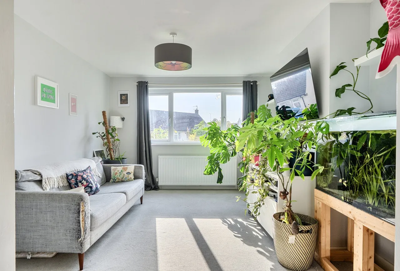Holly Hill Road, Bristol, BS15 4DL, photo 5