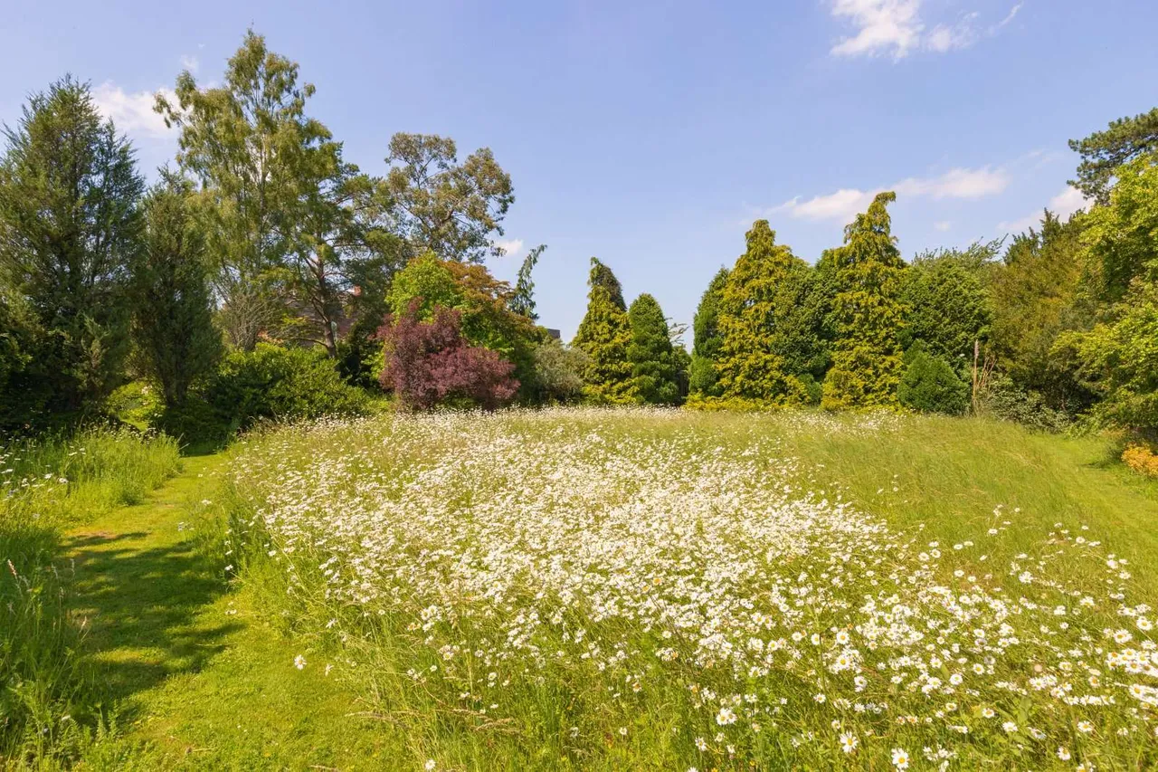 Shortgrove, Newport, Saffron Walden, Essex, CB11 3TX, photo 2
