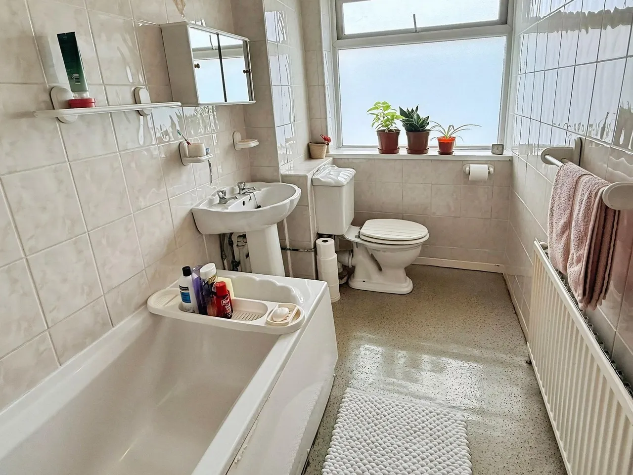 Borrowdale Way, Leicester, LE5, photo 18