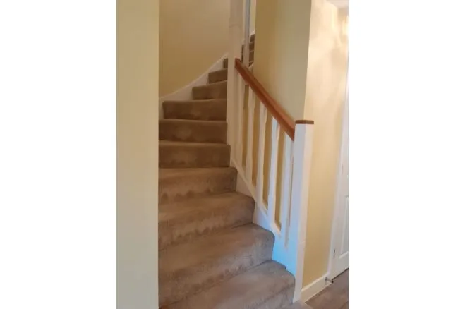 Foxglove Way, Nottingham, NG12, photo 13
