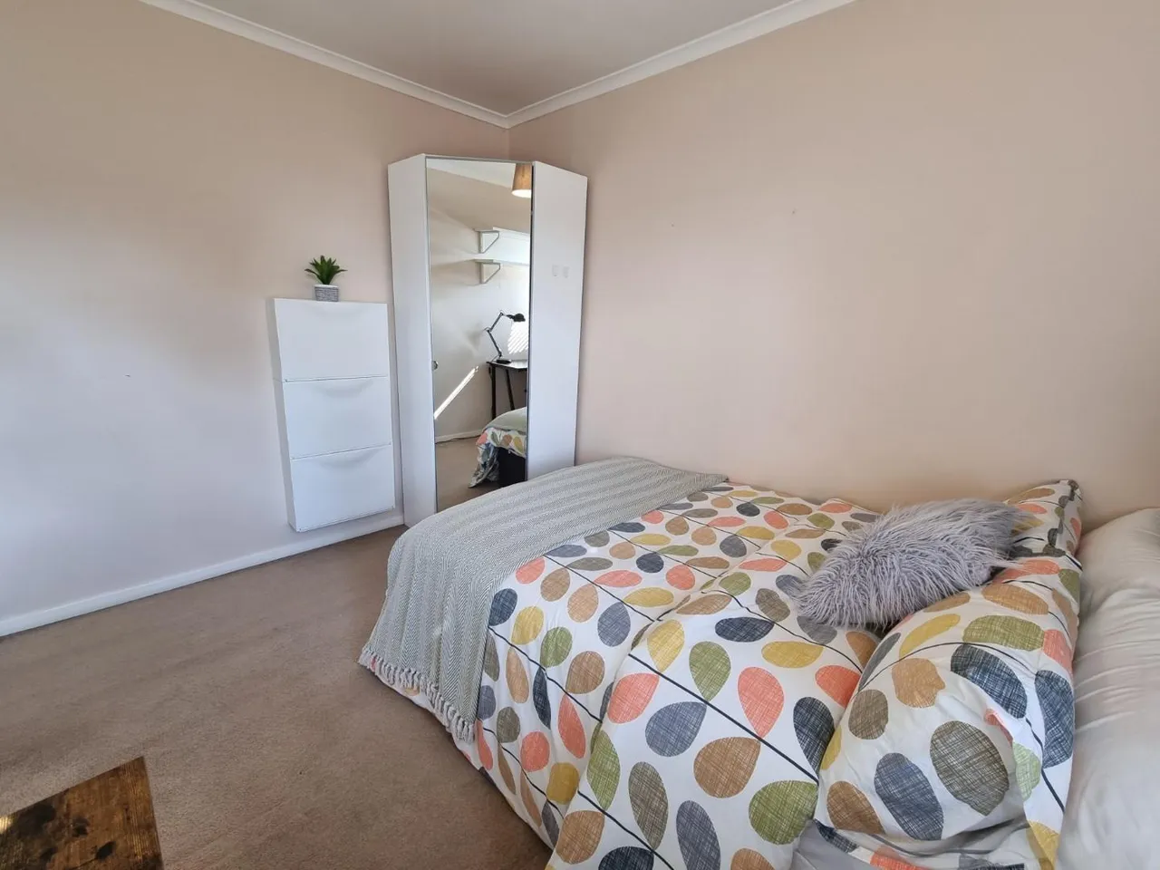 Frank Street, Gilesgate, DH1, photo 8