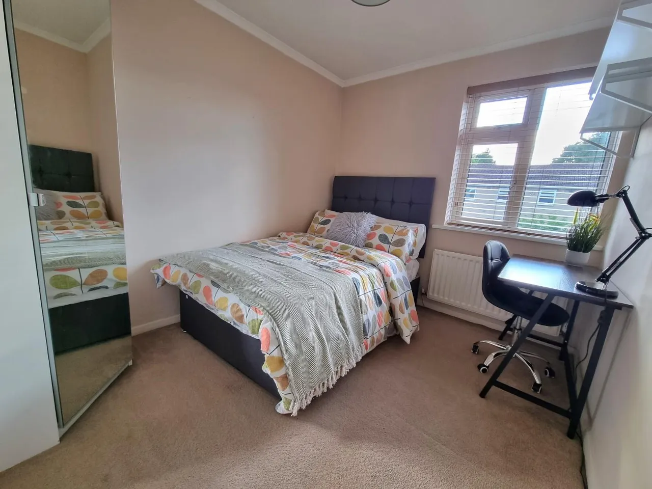 Frank Street, Gilesgate, DH1, photo 15