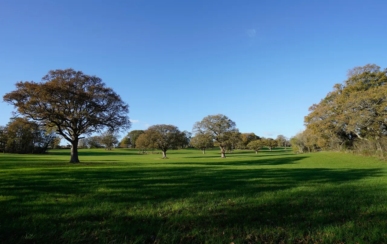 The Lower Acre, Horton Heath, SO50, photo 9