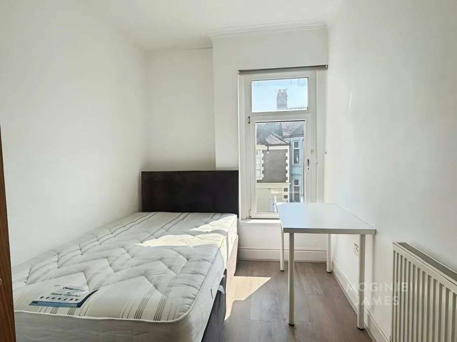 Brithdir Street, Cardiff, CF24, photo 16