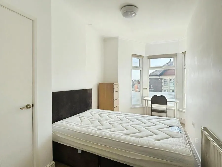 Brithdir Street, Cardiff, CF24, photo 14