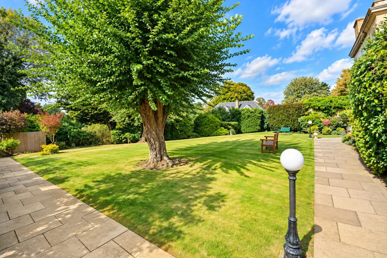 Ware Park, Ware, SG12, photo 27