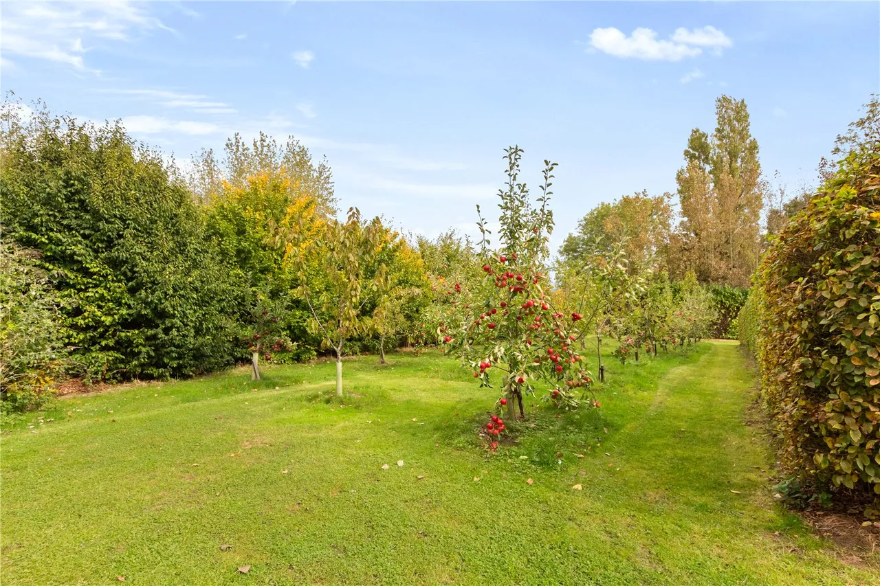 Pinfold Lane, Beesby, photo 37