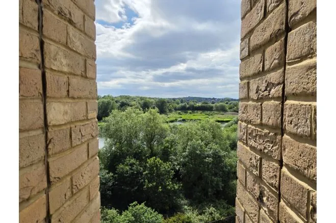 19 Moorhen Drive, London, photo 7