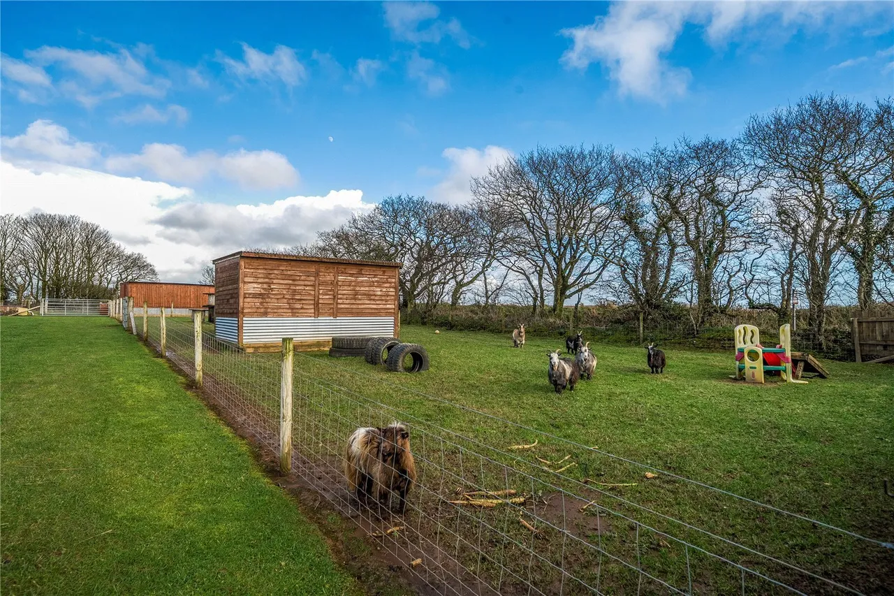 East Taphouse, Liskeard, PL14, photo 22