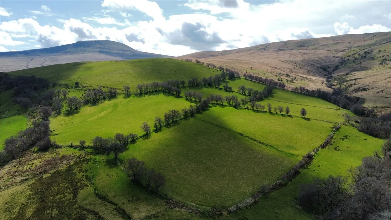 Crai, Brecon, Powys, LD3 8YS, photo 8