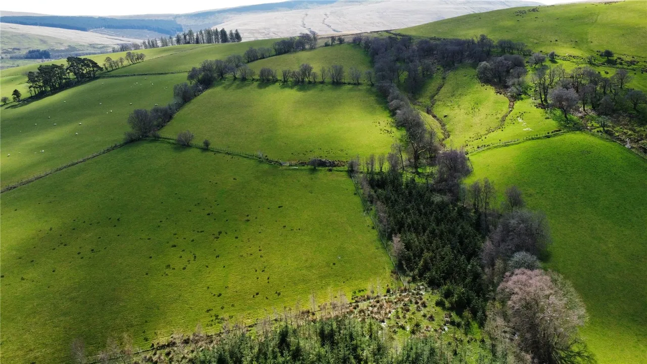 Crai, Brecon, Powys, LD3 8YS, photo 5