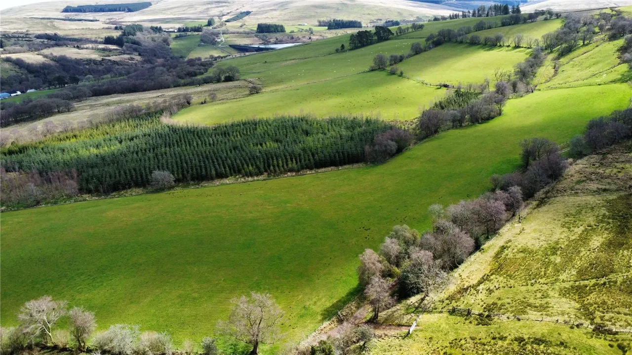 Crai, Brecon, Powys, LD3 8YS, photo 7