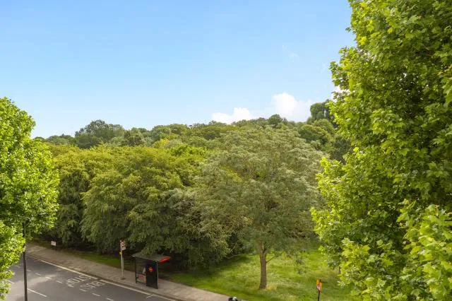 Bentinck Close, London, NW8, photo 22