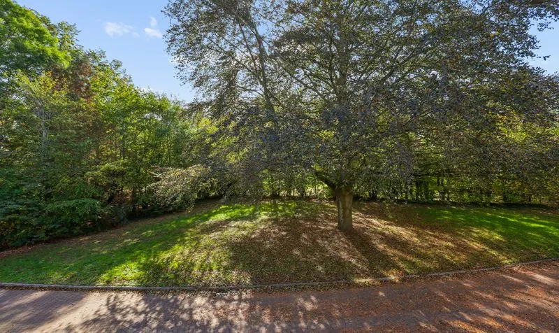 Redwood Drive, Epsom, KT19, photo 5