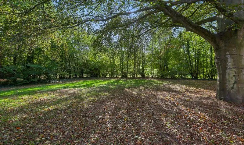 Redwood Drive, Epsom, KT19, photo 36