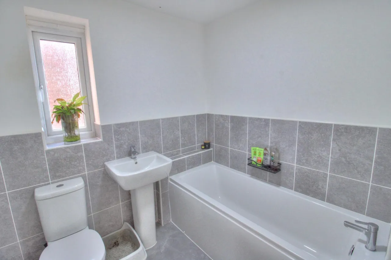 Portrush Gardens, Ashington, NE63, photo 23